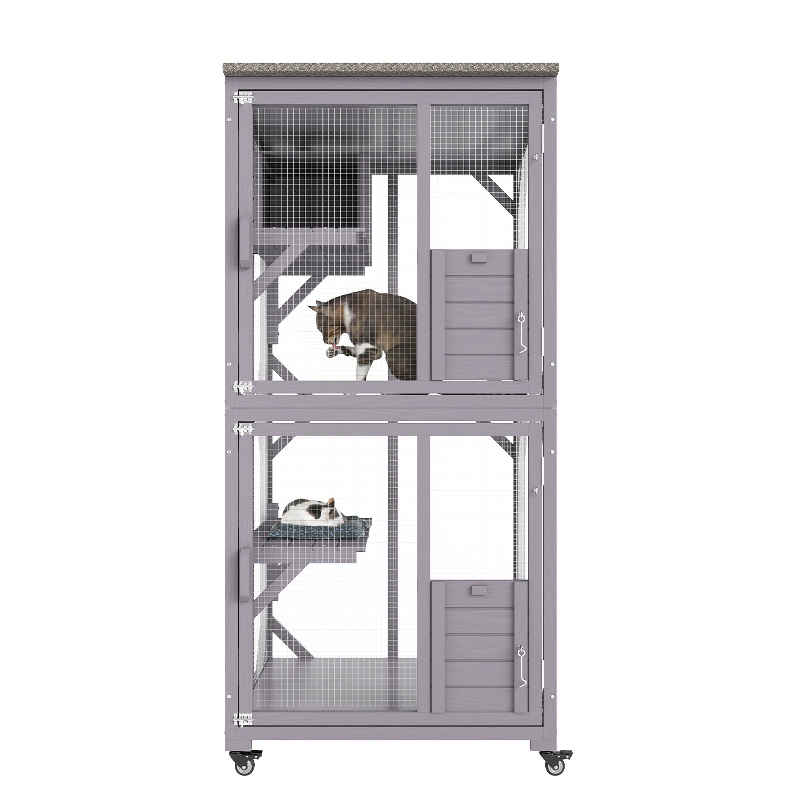 78733716