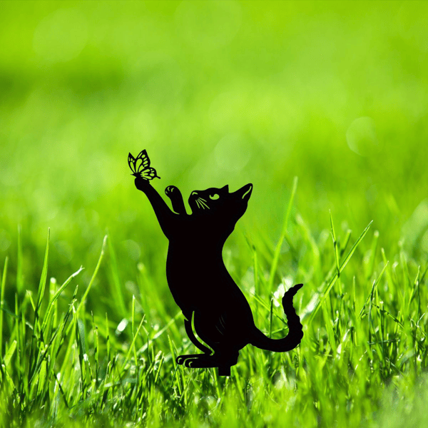 493156901